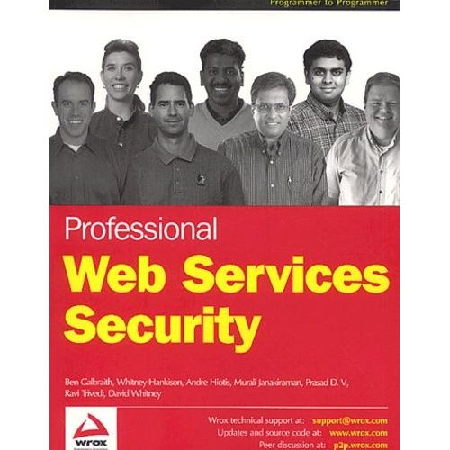 Professional Web Services Security