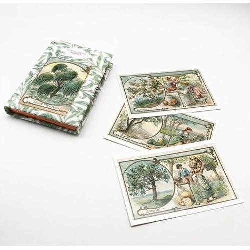 Le Petit Livre Des Arbres - Avec 10 Cartes Postales Offertes