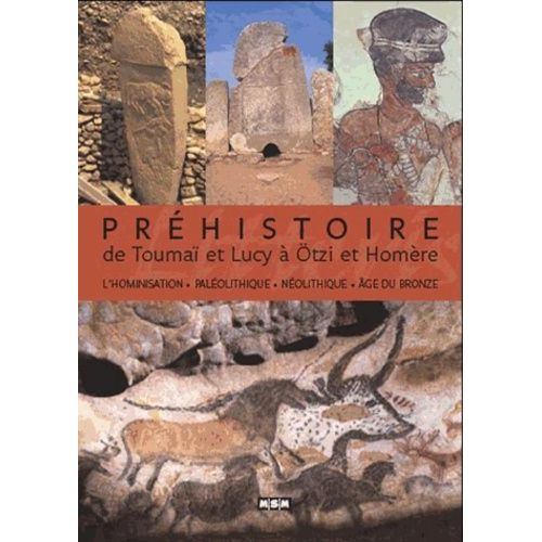 Préhistoire - De Toumaï Et Lucy À Otzi Et Homère