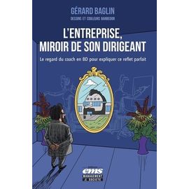 L'entreprise, Miroir De Son Dirigeant - Le Regard Du Coach En Bd Pour Expliquer Ce Reflet Parfait