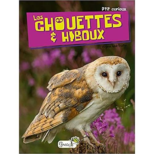 Les Chouettes & Hiboux