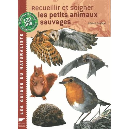Recueillir Et Soigner Les Petits Animaux Sauvages