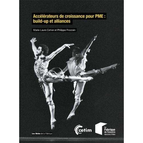Accélérateurs De Croissance Pour Pme : Build-Up Et Alliances