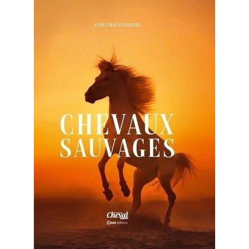 Chevaux Sauvages