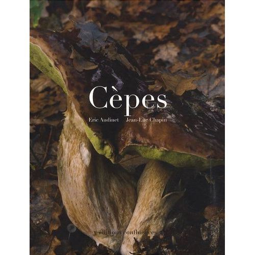 Cèpes