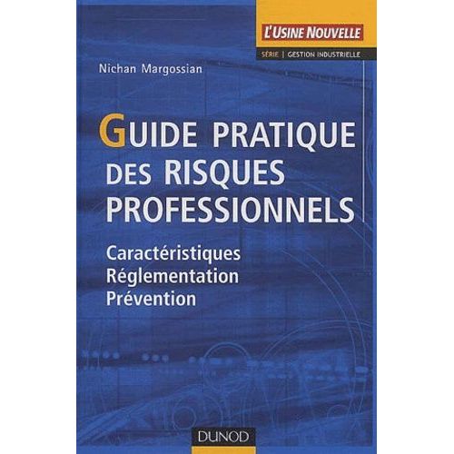 Guide Pratique Des Risques Professionnels - Caracteristiques, Reglementation, Prevention