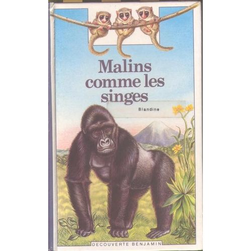 Malins Comme Les Singes