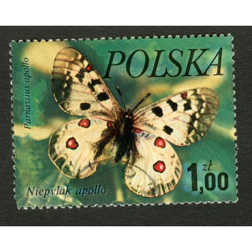 Timbre Oblitéré Polska, Parnassius Apollo, Niepylak Apollo, 1.00 Zl