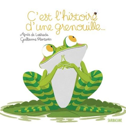 C'est L'histoire D'une Grenouille