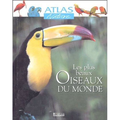 Les Plus Beaux Oiseaux Du Monde