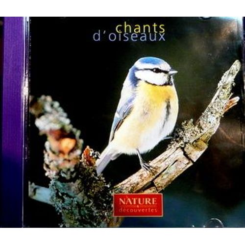 Chants D'oiseaux