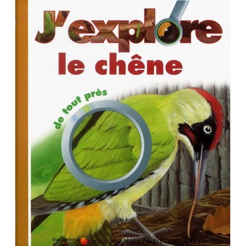 J'explore Le Chene De Tout Pres