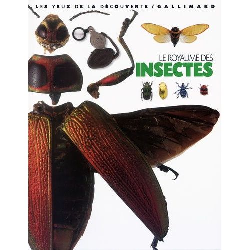 Le Royaume Des Insectes