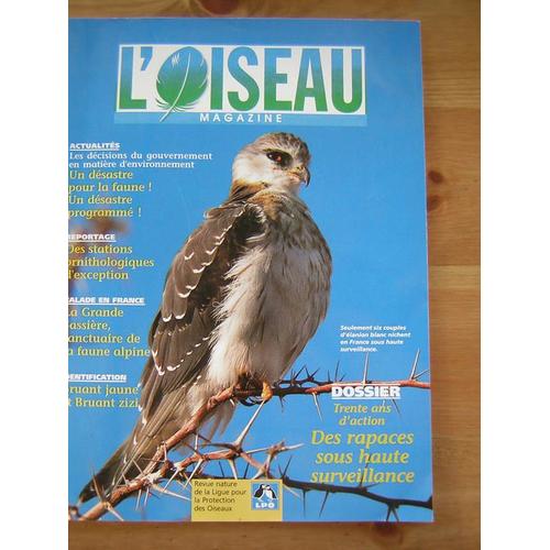 L'oiseau Magazine N° 74 : Des Rapaces Sous Haute Surveillance