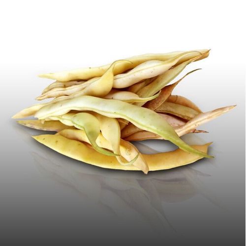 75 Grammes De Graines à Semer - Le Grenier D'Abondance - HARICOT Rames Or Du Rhin - Phaseolus Vulgaris