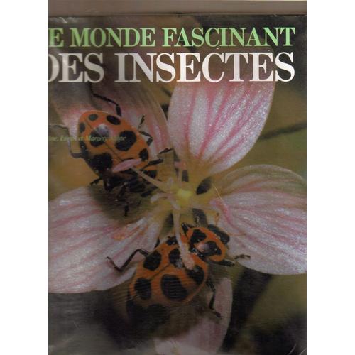 Le Monde Fascinant Des Insectes