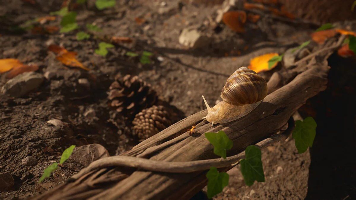 Les Fourmis Édition Limitée PS5 - 6