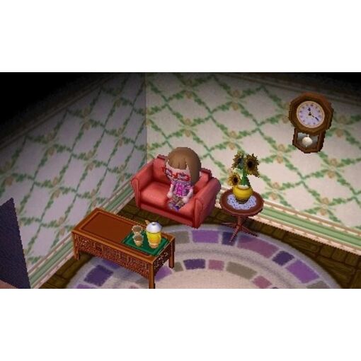 Animal crossing: new leaf 3DS