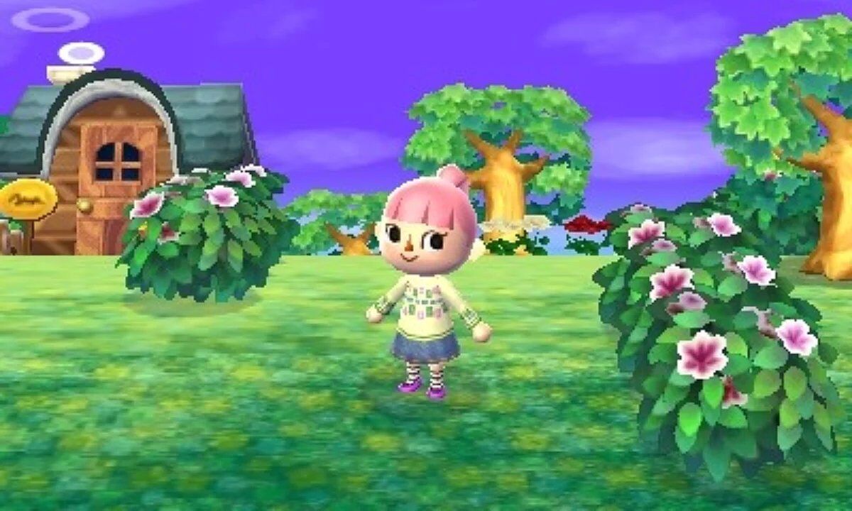 Animal crossing: new leaf 3DS - 5