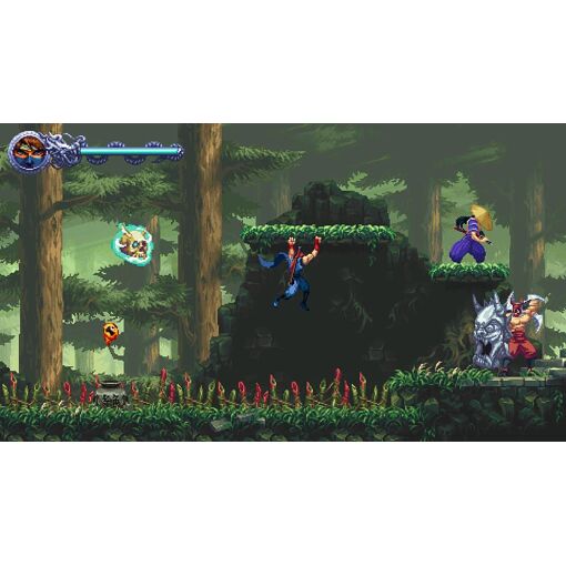 NINJA GAIDEN: Ragebound Special �dition Switch