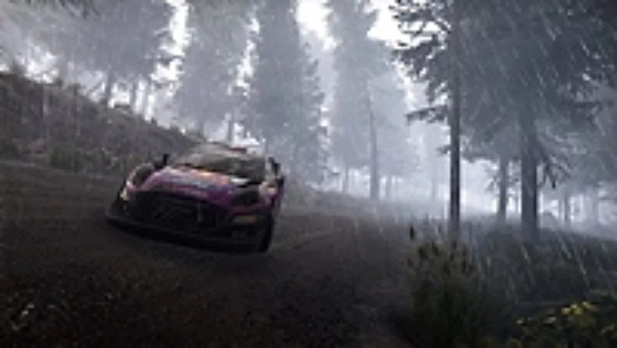WRC : Generations Switch - 2