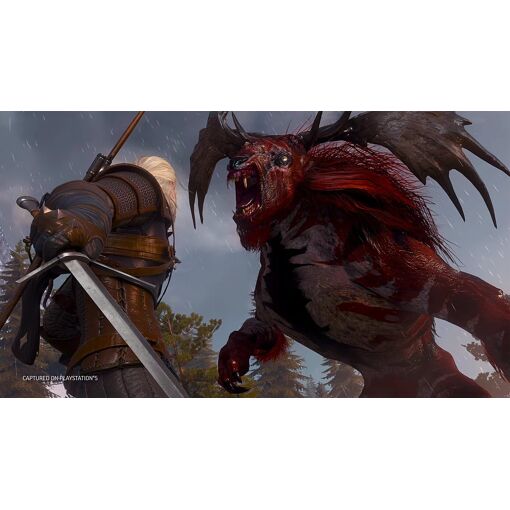 The Witcher 3 : Wild Hunt Complete Edition PS5