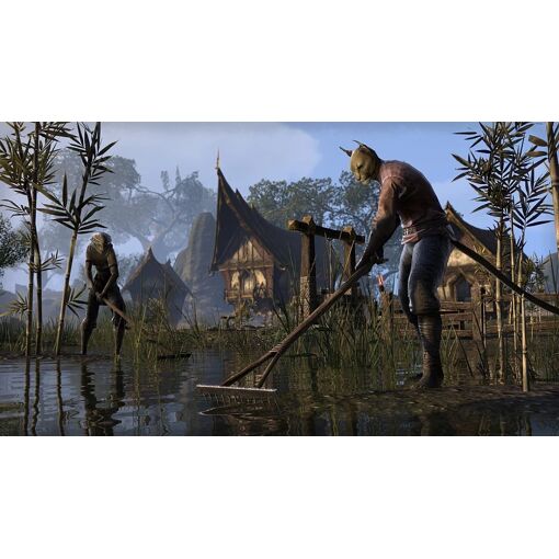 The Elder Scrolls Online - Tamriel Unlimited PS4 - 3