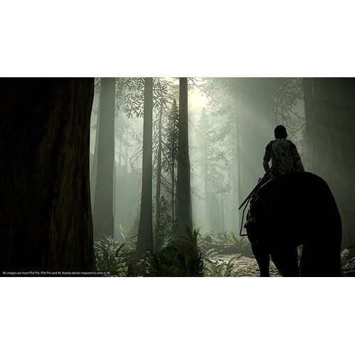 Shadow Of The Colossus PS4