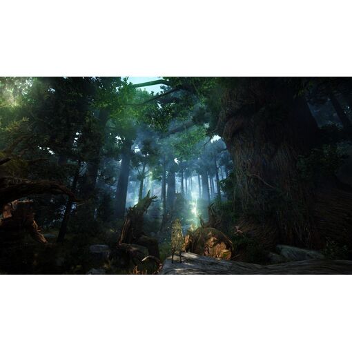 Black Desert : Prestige Edition Xbox One et Series X - 7