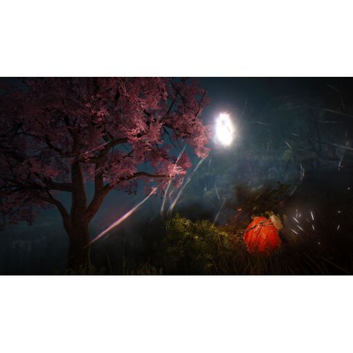 Black Desert : Prestige Edition Xbox One et Series X - 5