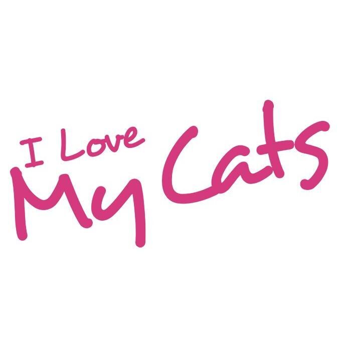 I love my cats 3DS - 2