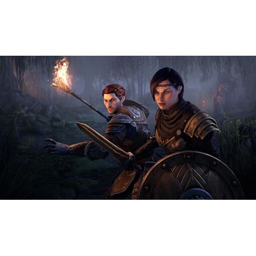 The Elder Scrolls Online : Blackwood Collection PS4 - 4