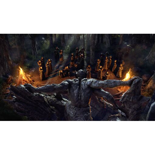 The Elder Scrolls Online : Blackwood Collection PS4 - 8