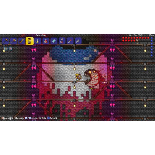 Terraria Switch - 5
