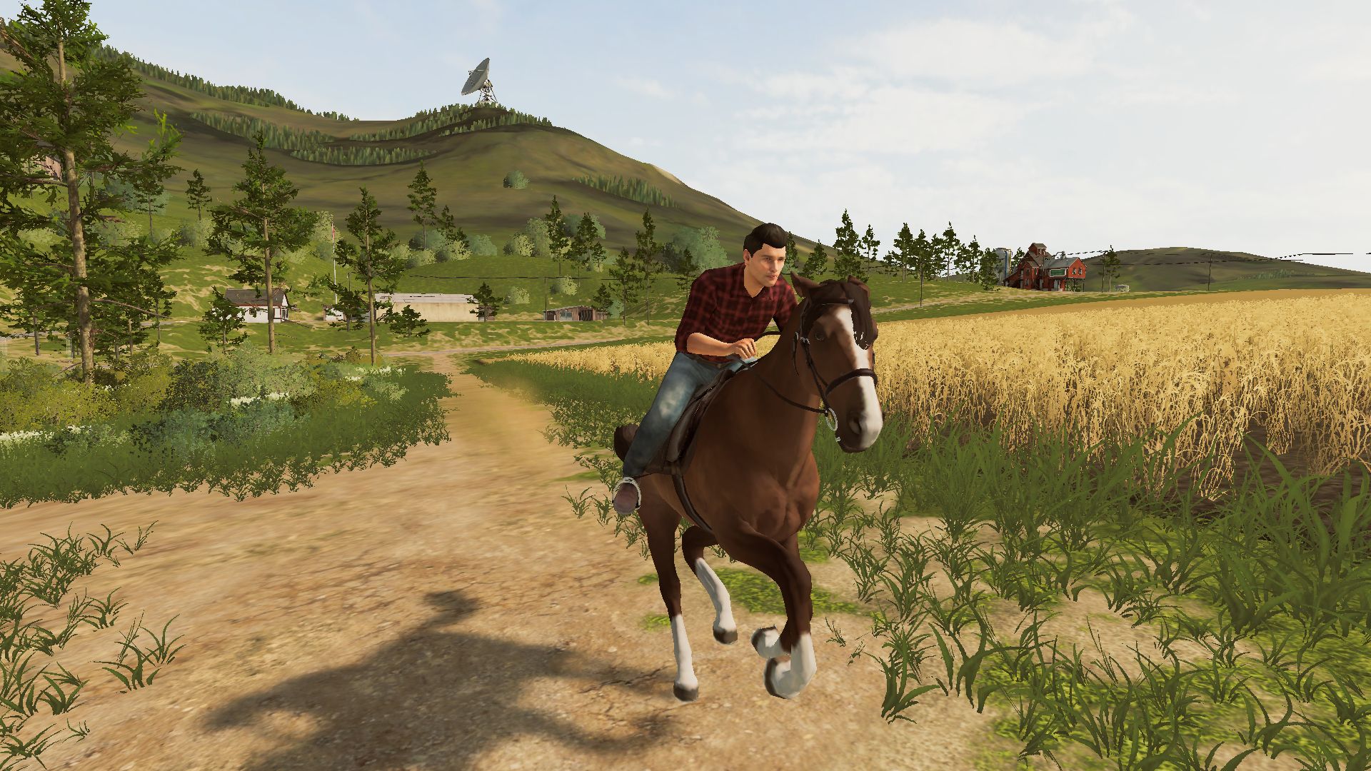 Farming Simulator 20 Switch - 5