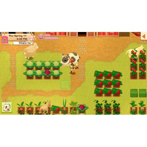 Harvest Moon : Lumi�re D'espoir Special Edition Switch - 4