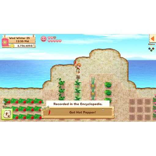 Harvest Moon : Lumi�re D'espoir Special Edition Switch - 5