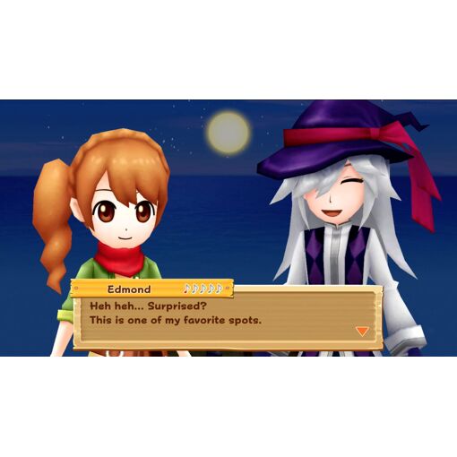 Harvest Moon : Lumi�re D'espoir Special Edition Switch - 2