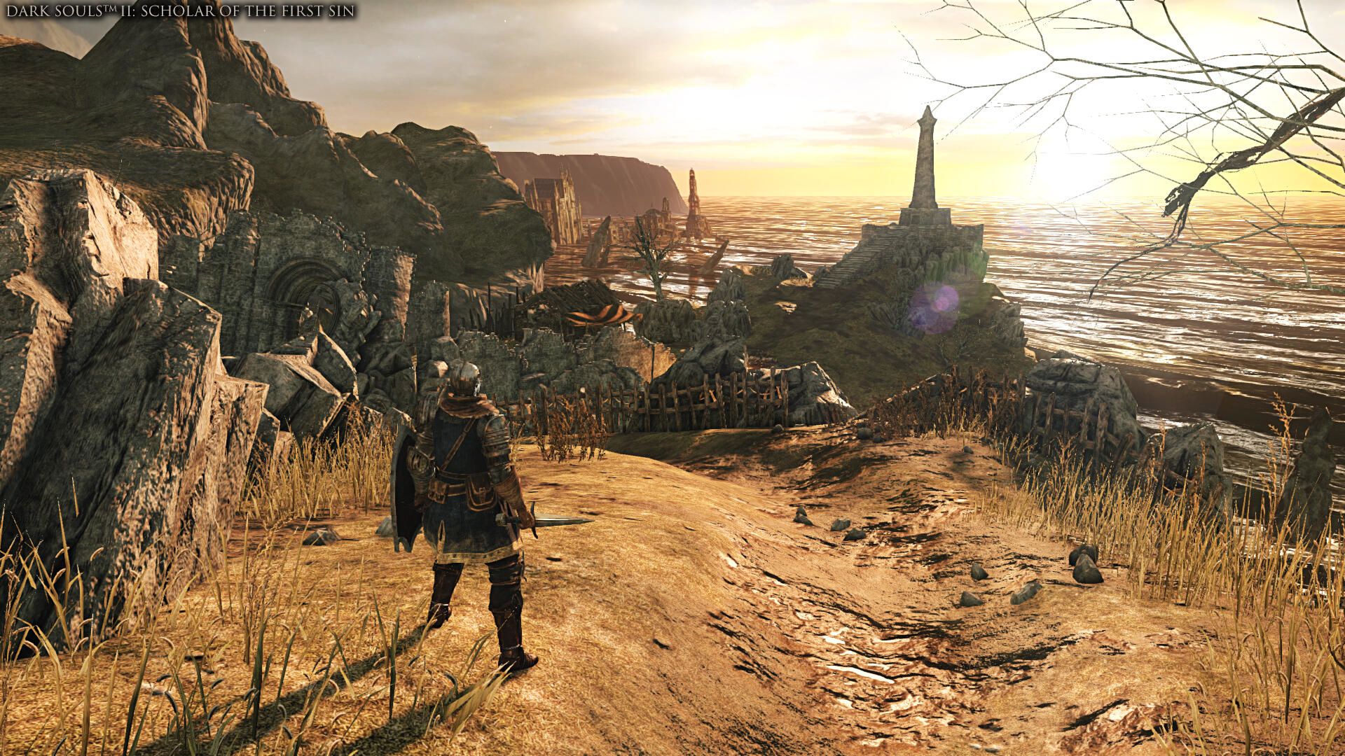 Dark Souls Trilogy PS4 - 5