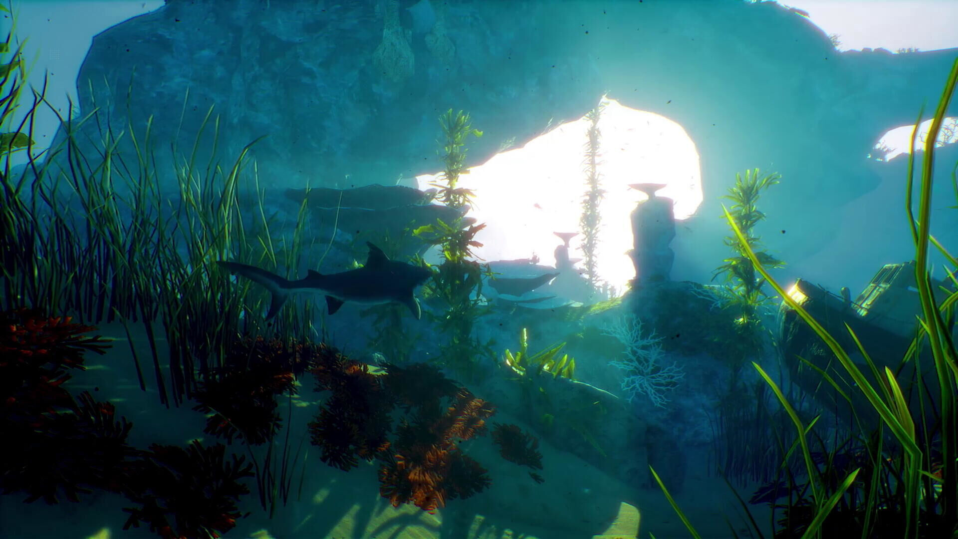 Man Eater : Day One Edition Xbox One - 5