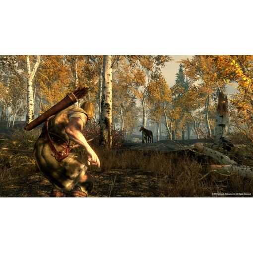 Bethesda The Elder Scrolls V: Skyrim, Xbox 360 Anglais - 2