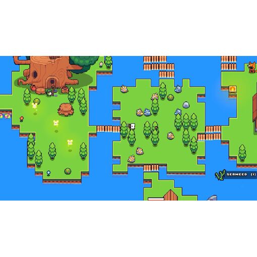 Forager Switch - 8