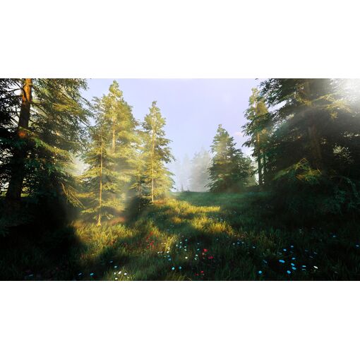 Hunting Simulator 2 Switch - 4
