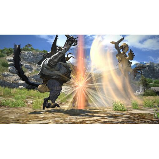 Final Fantasy XIV Starter Edition PS4