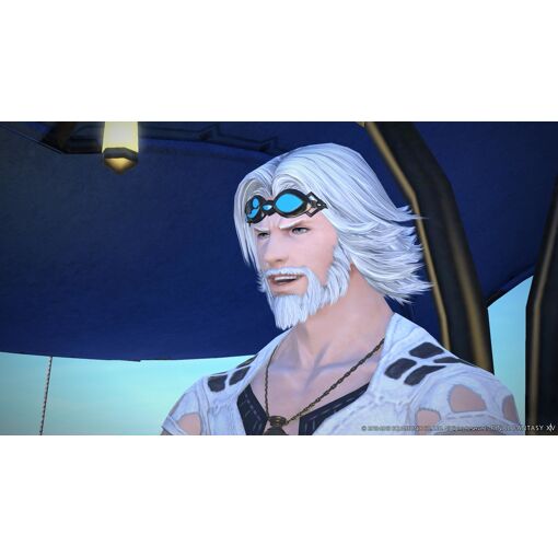 Final Fantasy XIV Starter Edition PS4 - 5