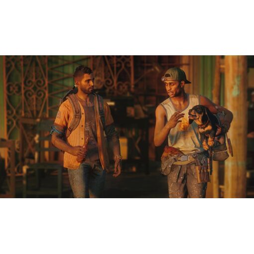 Far Cry 6 : Edition Gold PS4 - 5