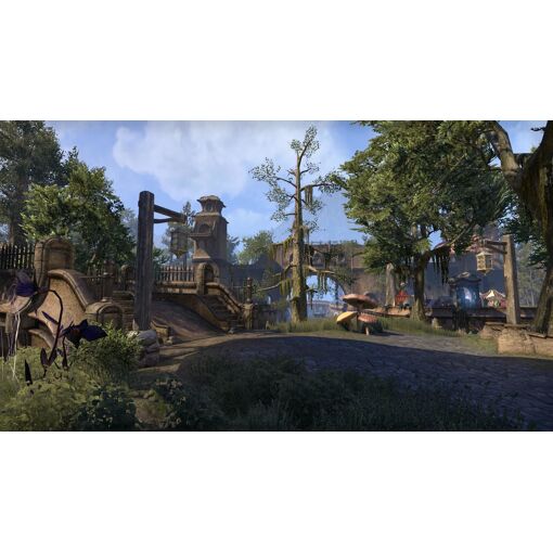 Bethesda The Elder Scrolls Online : Morrowind Standard Allemand, Anglais, F... - 2