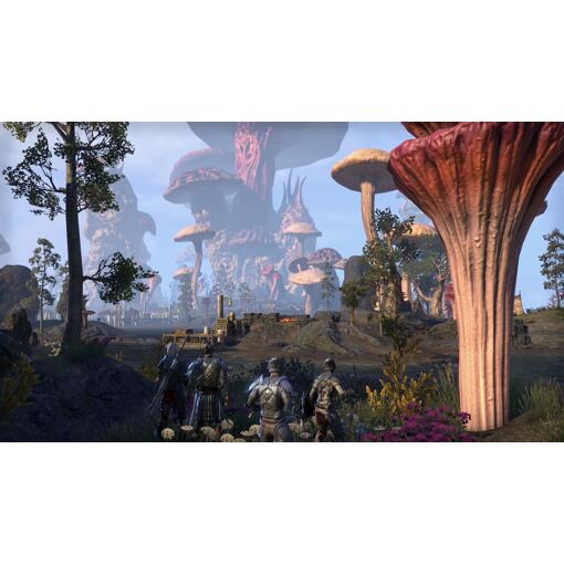 Bethesda The Elder Scrolls Online : Morrowind Standard Allemand, Anglais, F... - 3