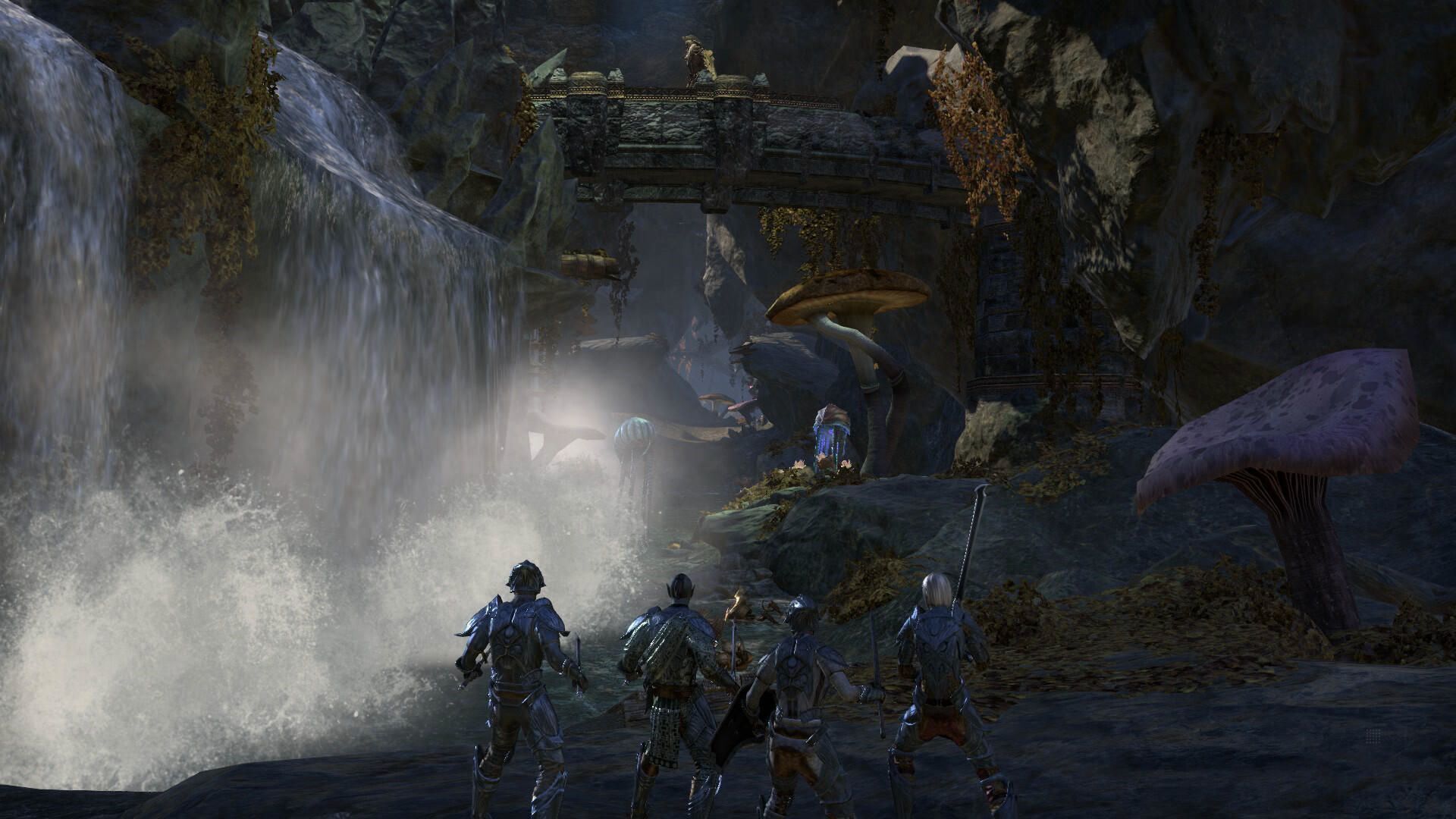 Bethesda The Elder Scrolls Online : Morrowind Standard Allemand, Anglais, F...