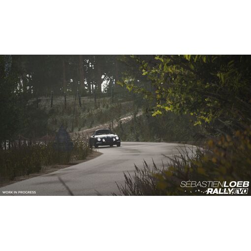 BANDAI NAMCO Entertainment S�bastien Loeb Rally EVO Standard Anglais PC - 3
